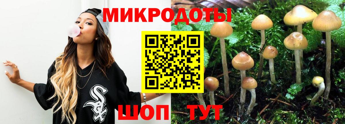 МЕФ Менделеевск